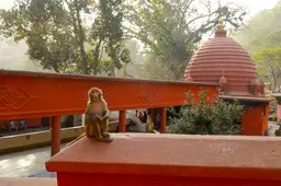 basistha temple guwahati assam 1B8A9437